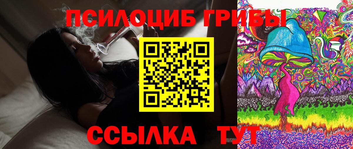 Железногорск  Галлюциногенные грибы прущие грибы  Вход с VPN 