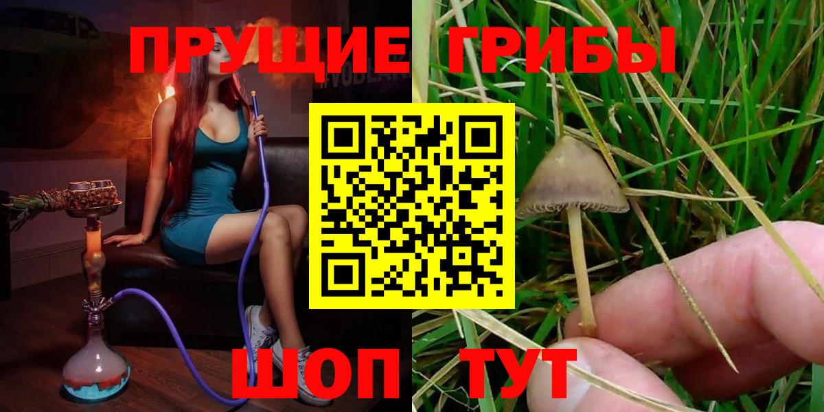 Псилоцибиновые грибы прущие грибы Железногорск