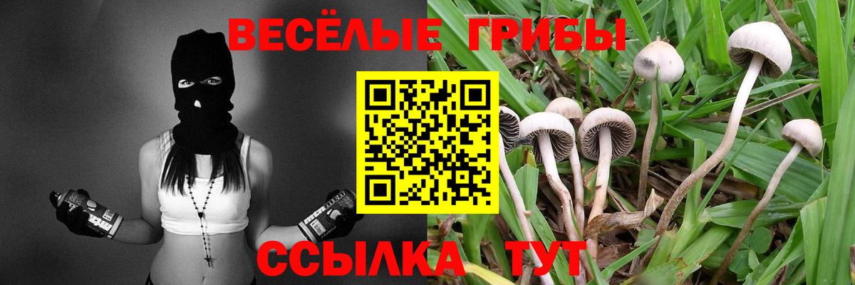  Cocaine Железногорск